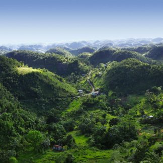 Jamaica Blue Mountain