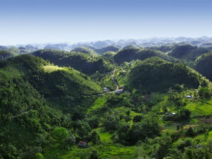 Jamaica Blue Mountain